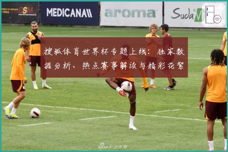 搜狐体育世界杯专题上线：独家数据分析、热点赛事解读与精彩花絮一站集成