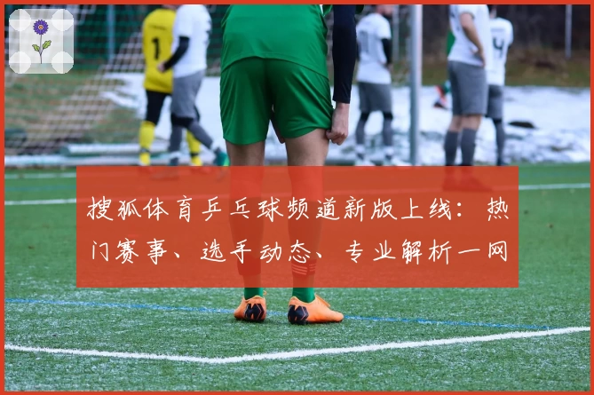 搜狐体育乒乓球频道新版上线：热门赛事、选手动态、专业解析一网打尽！