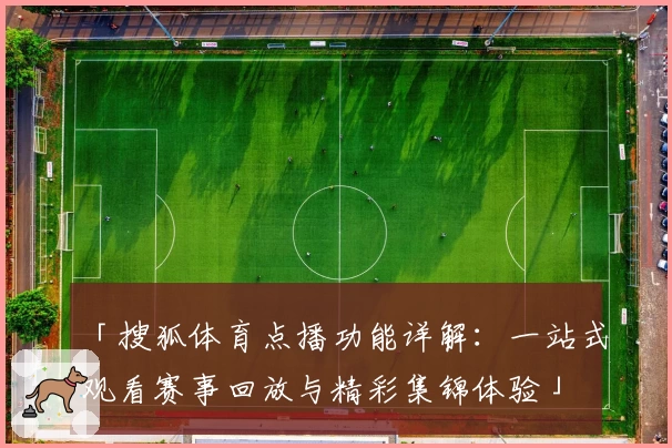 「搜狐体育点播功能详解：一站式观看赛事回放与精彩集锦体验」