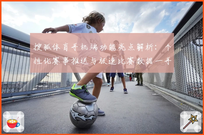 搜狐体育手机端功能亮点解析：个性化赛事推送与极速比赛数据一手掌握