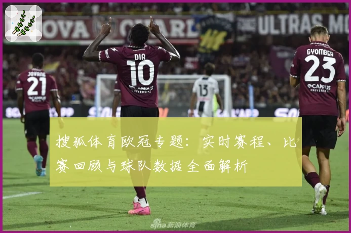 搜狐体育欧冠专题：实时赛程、比赛回顾与球队数据全面解析