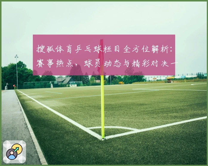 搜狐体育乒乓球栏目全方位解析:赛事热点、球员动态与精彩对决一网打尽
