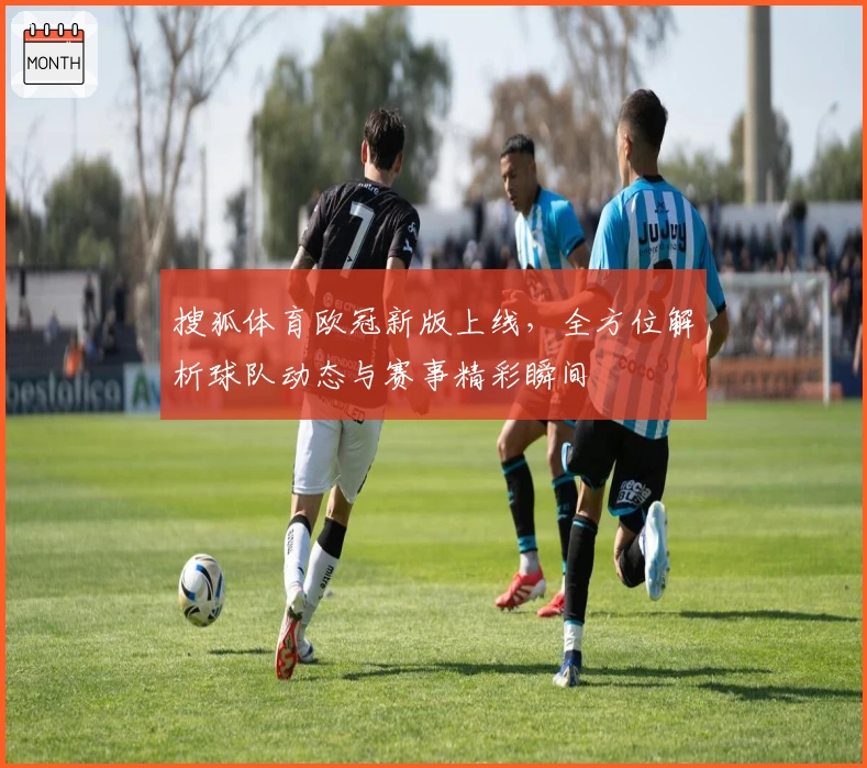 搜狐体育欧冠新版上线,全方位解析球队动态与赛事精彩瞬间