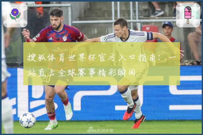 搜狐体育世界杯官方入口指南：一站直击全球赛事精彩瞬间